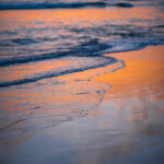 Beach on the sunaet